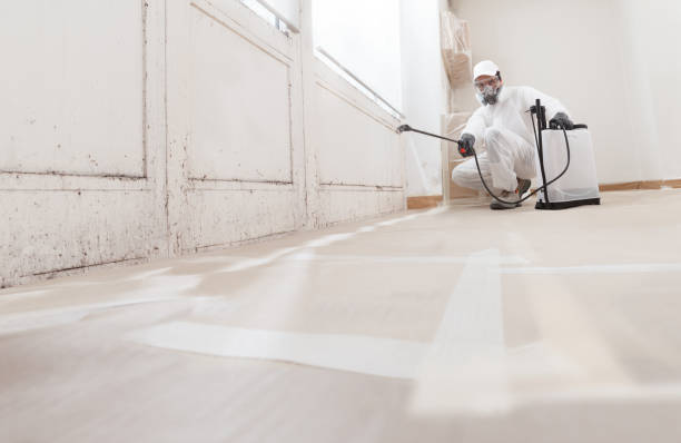 24/7 Emergency Mold Remediation experts in Mount Vernon, WA