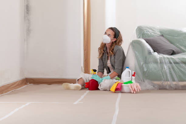 Reliable Mold Remediation contractor in Mount Vernon, WA by 24 Hour Mold Removal